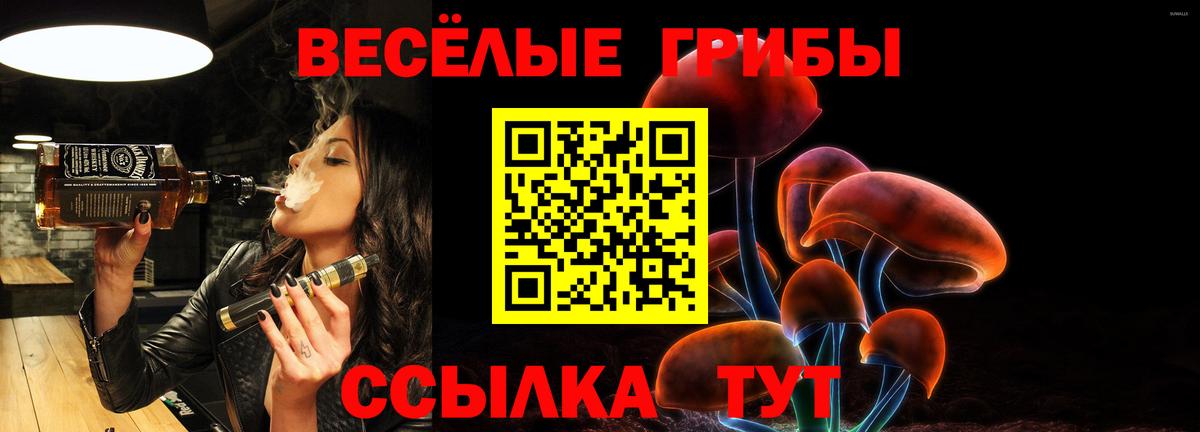 Псилоцибиновые грибы мицелий Белогорск