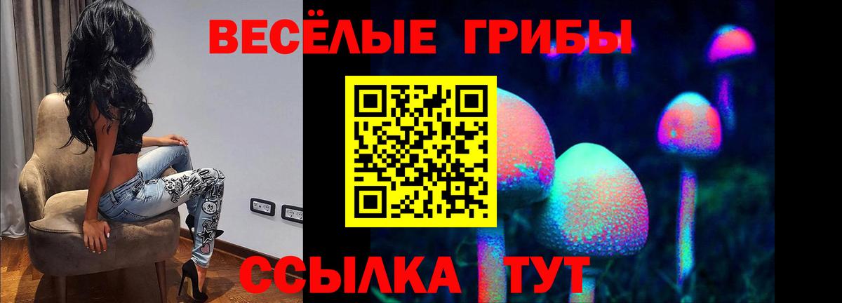 Псилоцибиновые грибы MAGIC MUSHROOMS  Вход с VPN  Белогорск 